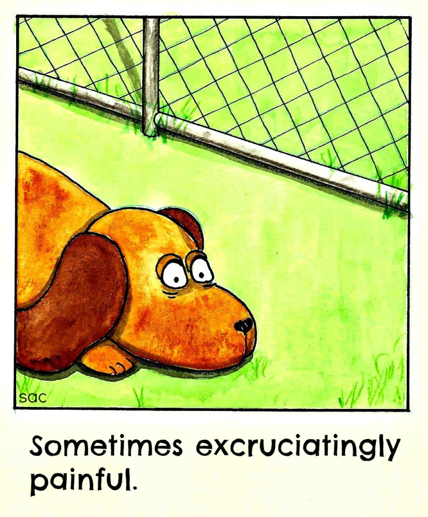 Doghouse cartoon 2-03 social animal cracke