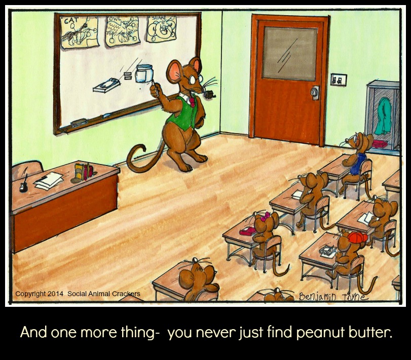 Lessons at Mouse School Social Animal Crackers
